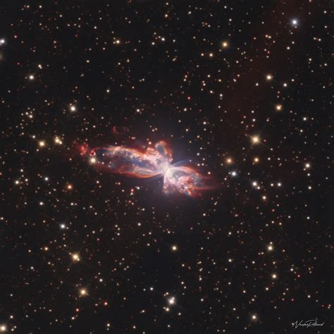 The Bug Nebula Ngc Astrophotography By Nicolas Rolland