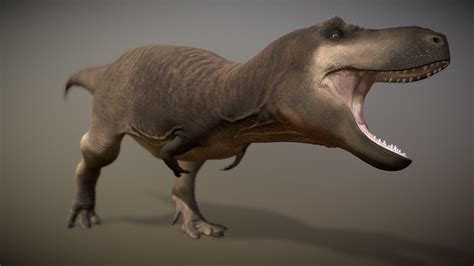 Tyrannosaurus Rex 3d Model By Jay Qui Jqarts [d44914f] Sketchfab