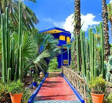 Jardin Majorelle Marrakech 2020 All You Need To Know Before You Go