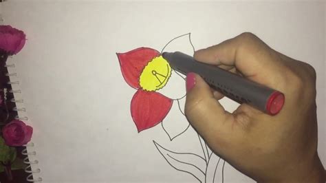 How To Draw A Flower And Colour Youtube