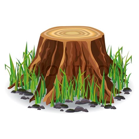 Realistic Tree Stump With Fresh Green Stock Vector Colourbox