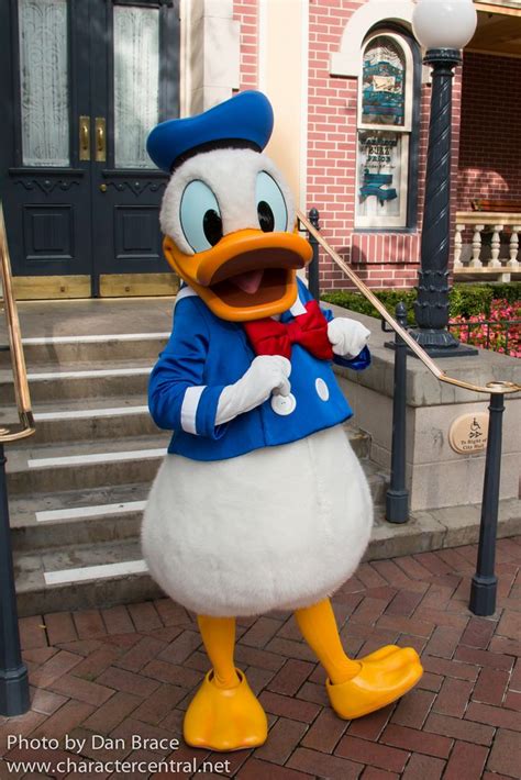 Donald Duck At Disney Character Central With Images Donald Duck