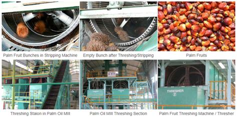 A palm oil mill produces crude palm oil and kernels, as primary products and biomass as secondary product. 30-100tpd Palm Kernel Oil Mill Process Extraction ...
