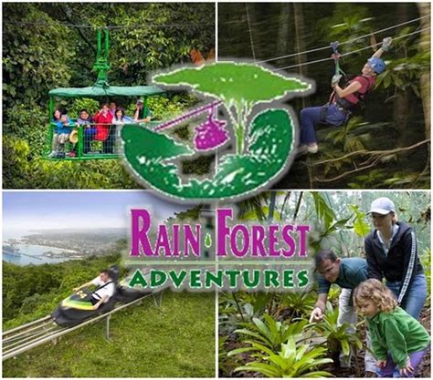 rainforest adventures blog zip line aerial tram nature trails and canopy tours