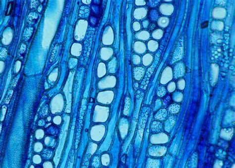 Maybe you would like to learn more about one of these? Cool Science Images 2016