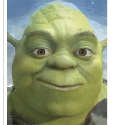 Shrek Feat Yoda Is Yoda A Kind Of Mini Oga Lol Shrek