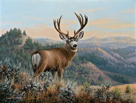 Original Painting Wildlife And Landscape Art By Chuck Black
