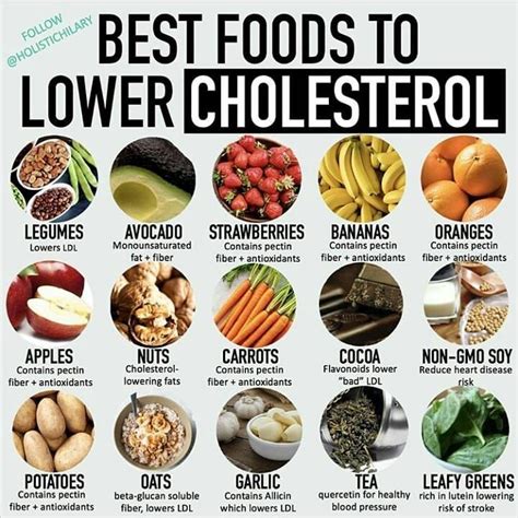 How i lowered my cholesterol with diet alone. 977 Likes, 6 Comments - @veganclassroom on Instagram ...
