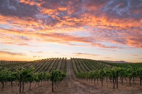 A Sunset To Remember Sonoma Valley · Hike Then Wine