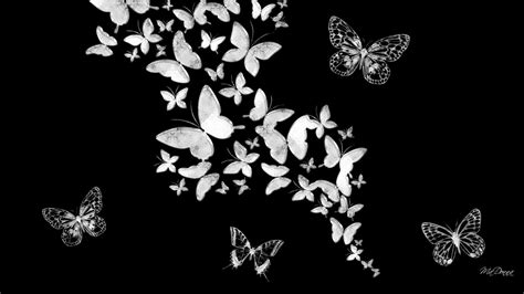 Black And White Butterfly Wallpapers Top Những Hình Ảnh Đẹp