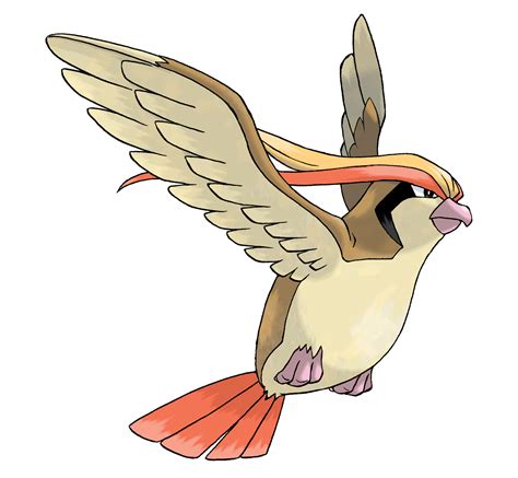 Pidgey Wikidex La Enciclopedia Pokémon