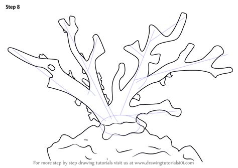 How To Draw A Coral Reef Step By Step For Kids