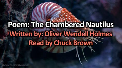 Poem The Chambered Nautilus Read By Chuck Brown Youtube