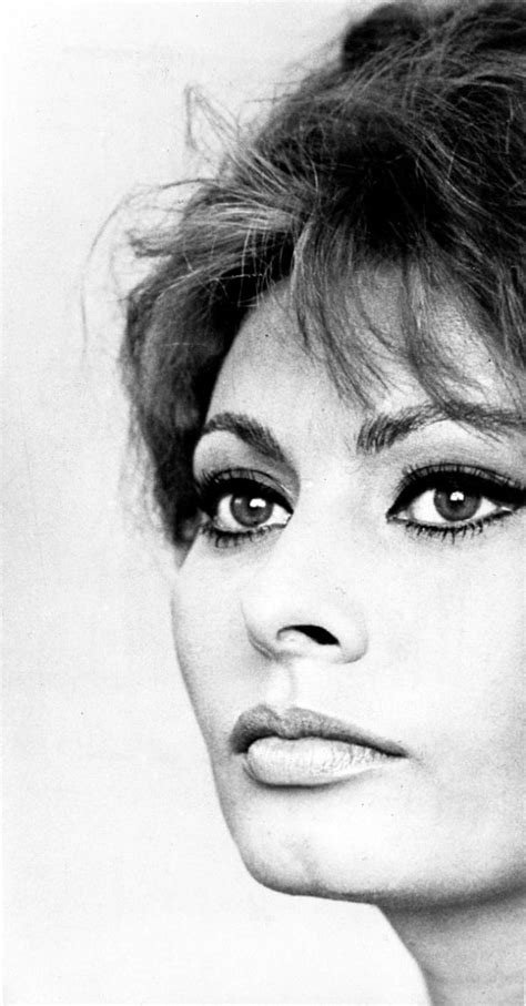 Picture Of Sophia Loren Sofia Loren Sophia Loren Images Sophia Loren