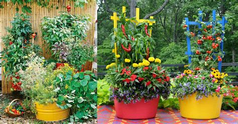 You can grow vegetables in raised boxes, including big, beautiful heirloom tomatoes in a variety of colors. 15 Stunning Container Vegetable Garden Design Ideas & Tips ...