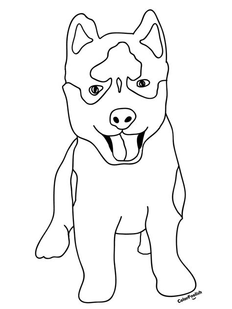 Cute Husky Puppies Coloring Pages In 2021 Dog Coloring Page Puppy