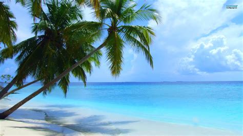Images Of Seasons Beach Summer Season Maldives Fresh New Hd