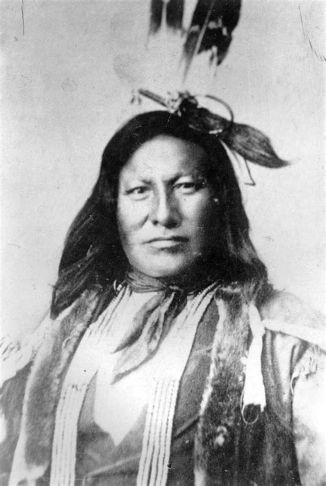 Tlatollotl — Thebigkelu A Native American Hunkpapa Sioux