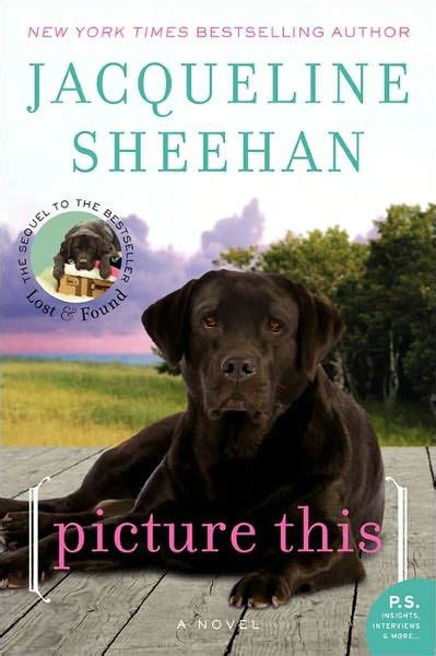 Picture This A Novel By Jacqueline Sheehan Paperback Barnes And Noble®