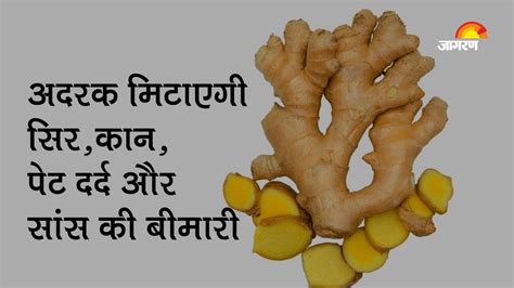 Ginger Or Adrak Used In Ayurvedic System For Its Various Medicinal