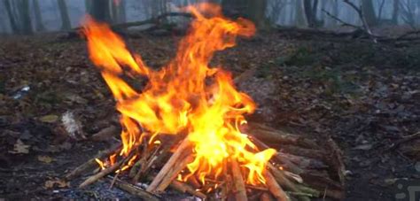 Top 50 Survival Tips Out In The Wilderness For Fire Making Shelter