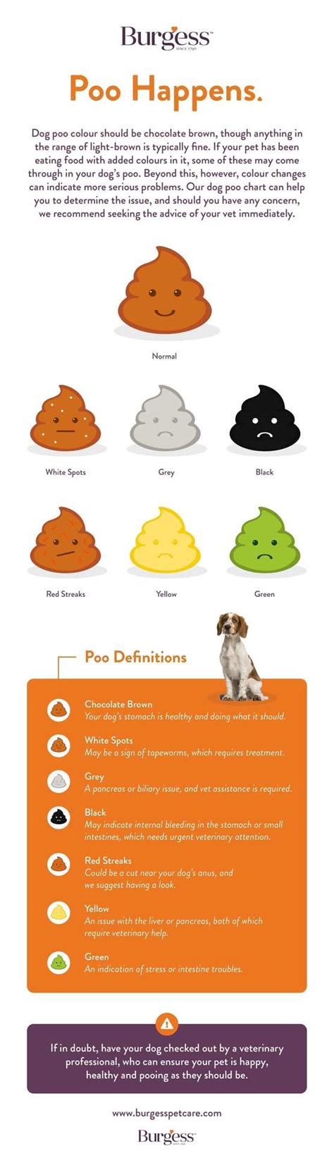 Healthy Dog Poop Colour And Consistency Chart Burgess Pet Care