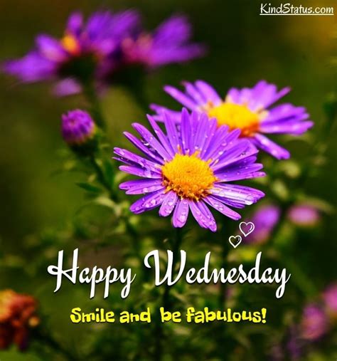 500 Happy Wednesday Images Pictures Photos