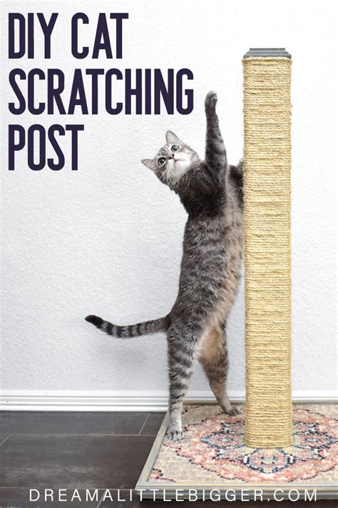 Diy Cat Scratching Post ⋆ Dream A Little Bigger