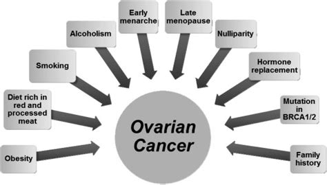 What Is Ovarian Cancer And Its Risk Factors Digestley