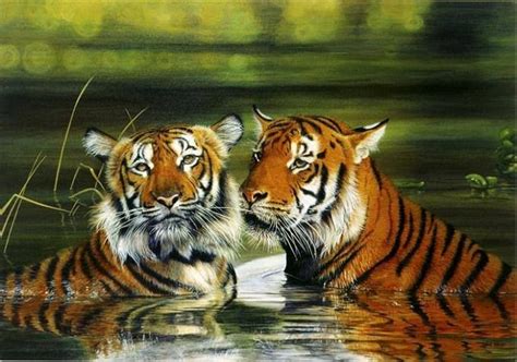 17 Best Images About Paintings Of Lions And Tigers On Pinterest