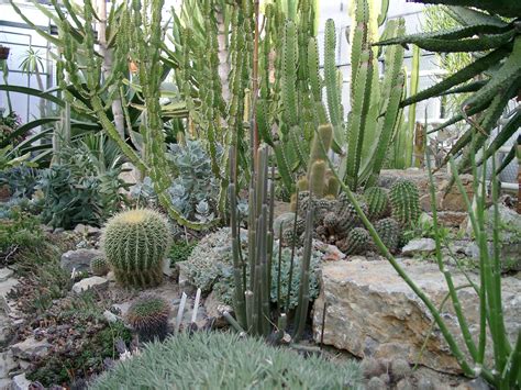 Hôtels proches de botanischer garten kassel, kassel: Botanischer Garten | kassel.de: Der offizielle ...