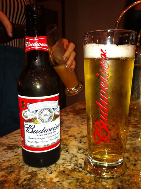Filebudweiser Beer Wikimedia Commons