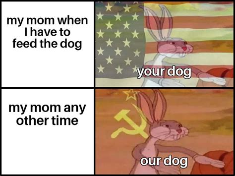 Our Dogcomrade Meme By The Milkman 30 Memedroid
