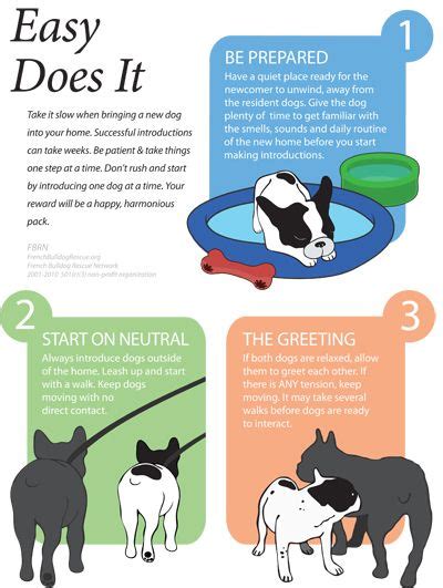 You should designate areas that are if you stay alert and keep meetings relaxed and controlled, introducing a new puppy to your dog, cat, and other pets should be pleasantly uneventful. How to introduce a new puppy into our home | Introducing a ...