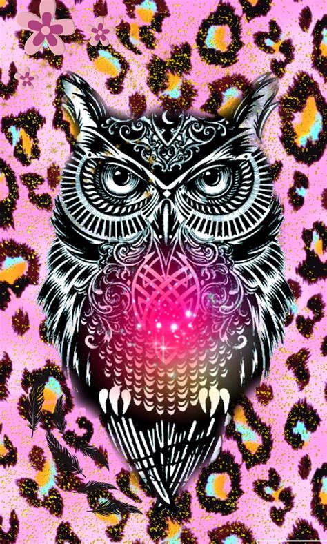 Background Cute Owl Wallpaper 47 Cute Owl Desktop Wallpaper On