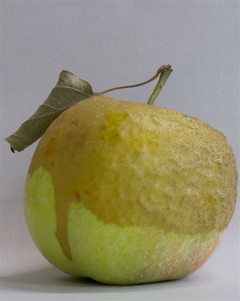 Apr 03, 2021 · we assessed the damage for 30 flowers collected from different branches and trees. Eat Ugly Apples — Door Creek Orchard