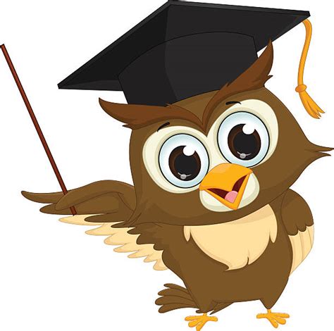 Best Owl Teacher Professor Wisdom Illustrations Royalty Free Vector