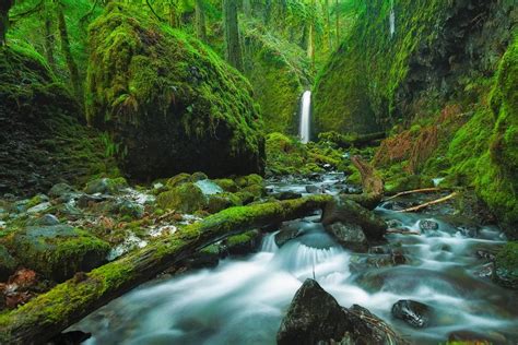 Mossy Grotto Falls Columbia River Gorge Oregon Photo Photograph Thick