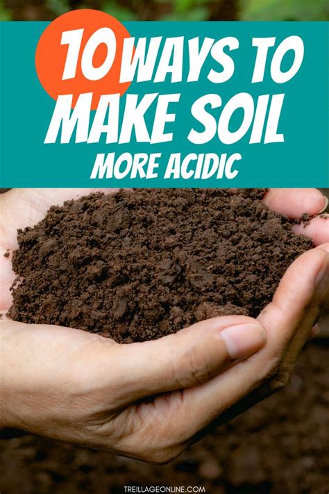 If you want to create a more acid, rather than just a more neutral soil, buying, or better yet making an ericaceous compost is a great idea. How to Make Soil More Acidic? - 10 Methods | Soil ...