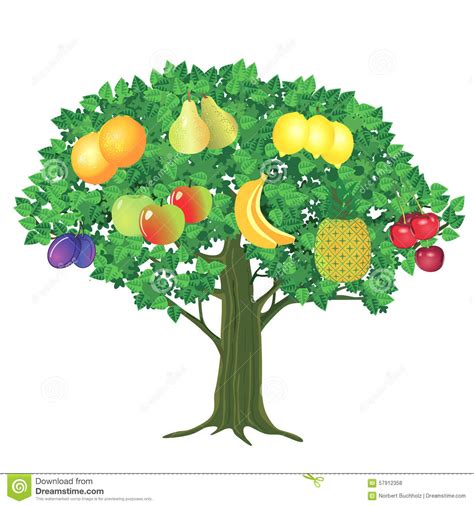 Fruit Growing Clipart Free Cliparts Download Images On Clipground