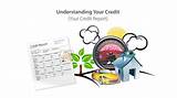 How Can I See My Credit Report For Free Online Pictures