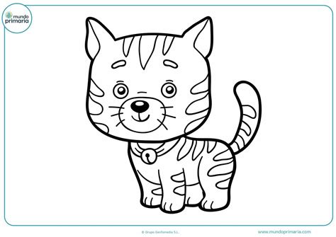 Dibujos Para Imprimir Y Colorear Gatos Para Colorear Images