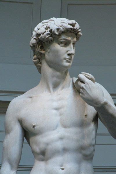 Michelangelos David The Statue Your Contact In Florence