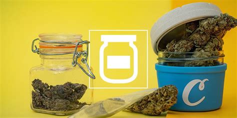 Best Ways To Store Your Cannabis And Keep It Fresh Zamnesia