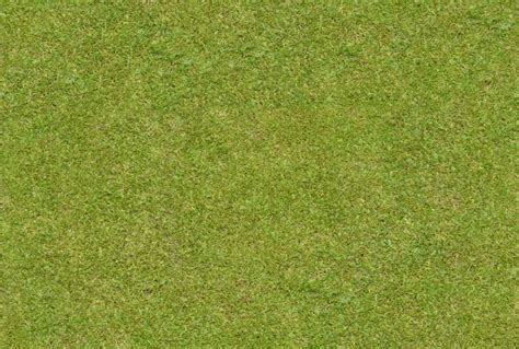 Large Grass Texture Seamless