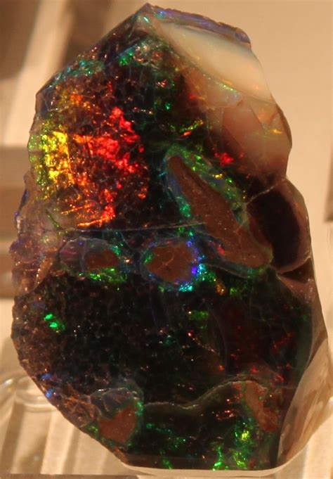 Precious Opal From Virgin Valley Nevada On Display At The 2012 Tucson