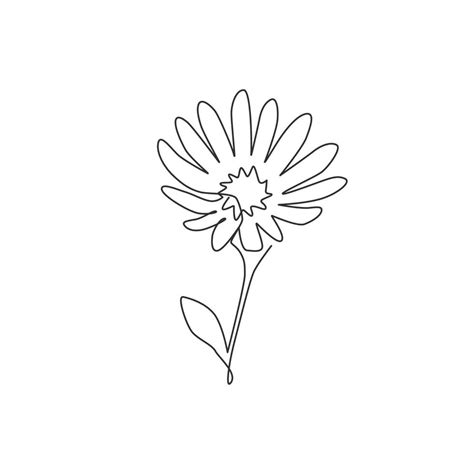 One Continuous Line Drawing Beauty Fresh Perennial Flowering Plant For
