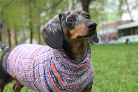 Knitting Pattern Scrap Yarn Cowl Neck Mini Dachshund Dog Etsy Mini