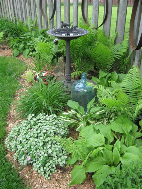Afternoon shade protects plants from the sun at its hottest while evening shade will enhance the impact of white flowers that attract pollinating moths. Pin by Linda Sullivan on gardens | Shade garden, Japanese ...