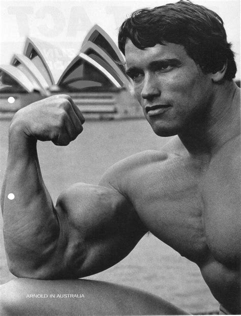 Wallpaper Arnold Schwarzenegger Athlete Bodybuilding